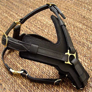 Best Rottweiler leather dog harness( hand-maded leather harness)