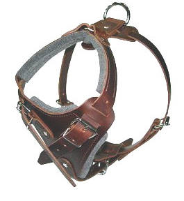 Rottweiler leather dog harness( handmade leather harness)