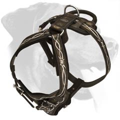Easy-to-use Leather Harness