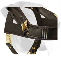 Brass Buckles and Reflective Straps on Leather Guide Dog Harness