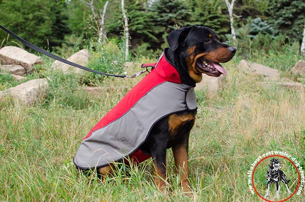 winter coats for rottweilers order rottweiler coat winter walking winter coats for rottweilers order rottweiler coat winter walking