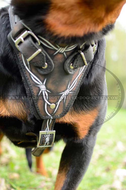 Hand Painted Chest Plate of Walking Leather Dog Harness