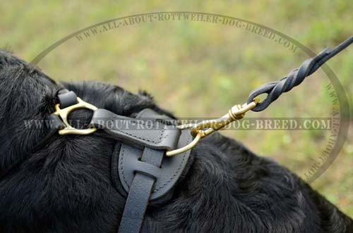 Comfortable Leather Harness