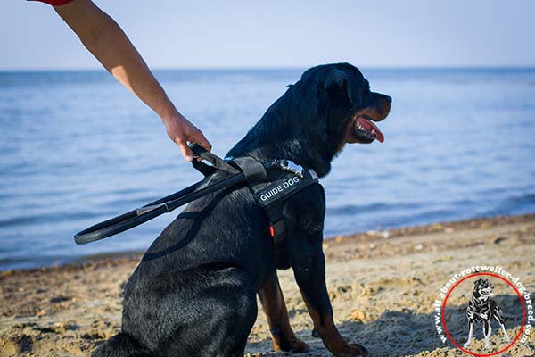 Nylon Rottweiler guide harness with quick grip handle