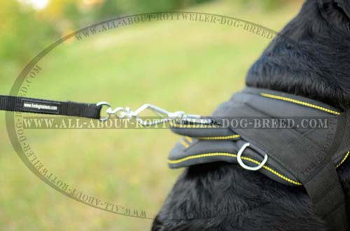 Topnotch Rottweiler Harness