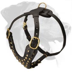 Designer Leather Dog Harness