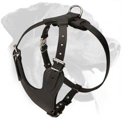 Durable Rottweiler Dog Leather Harness