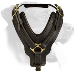 Superb Rottweiler Leather Harness