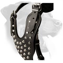 Stylish Leather Dog Harness for Rottweilers