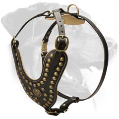 leather dog harness