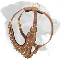 Spiked Leather Dog Harness for Rottweiler Breed