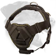 dog harness with handle