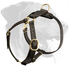 Strap-like Design Rottweiler Dog Leather Harness