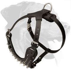 Superb Rottweiler Dog Leather Harness