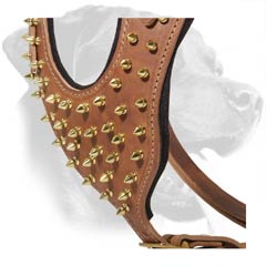 Leather Dog Harness with Spiked Chest Plate for Rottweiler Daily Walks in Style