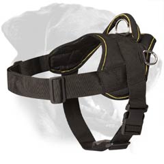 Durable Rottweiler Dog Harness