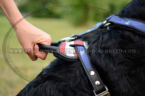 Reliable Handle on Leather Dog Harness with American Flag Pattern