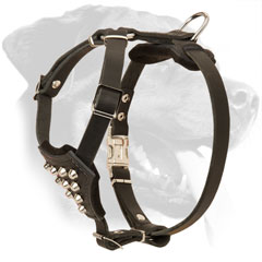 Comfy Padded Leather Rottweiler Puppy Harness with Studs