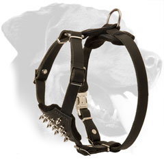 Easy Adjustable Leather Rottweiler Puppy Harness for Walking
