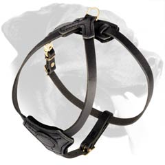 Leather Dog Harness with Adjustable Straps