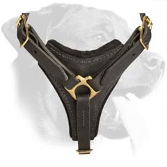 Comfy Leather Harness
