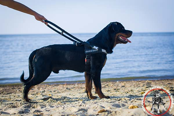 Rottweiler nylon-harness handcrafted with handle safe-walking