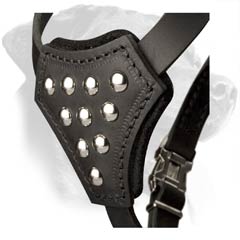 Studded Chest Plate of Walking Leather Puppy Harness