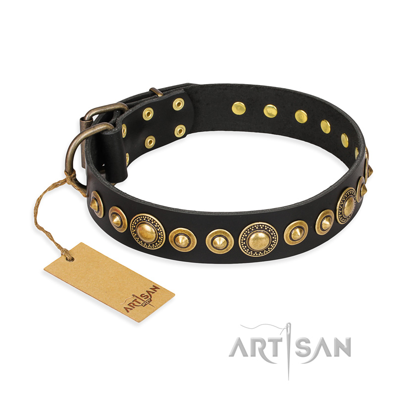 'Gold Mine' FDT Artisan Rottweiler Black Leather Dog Collar with Amazing Bronze-Plated Round Studs