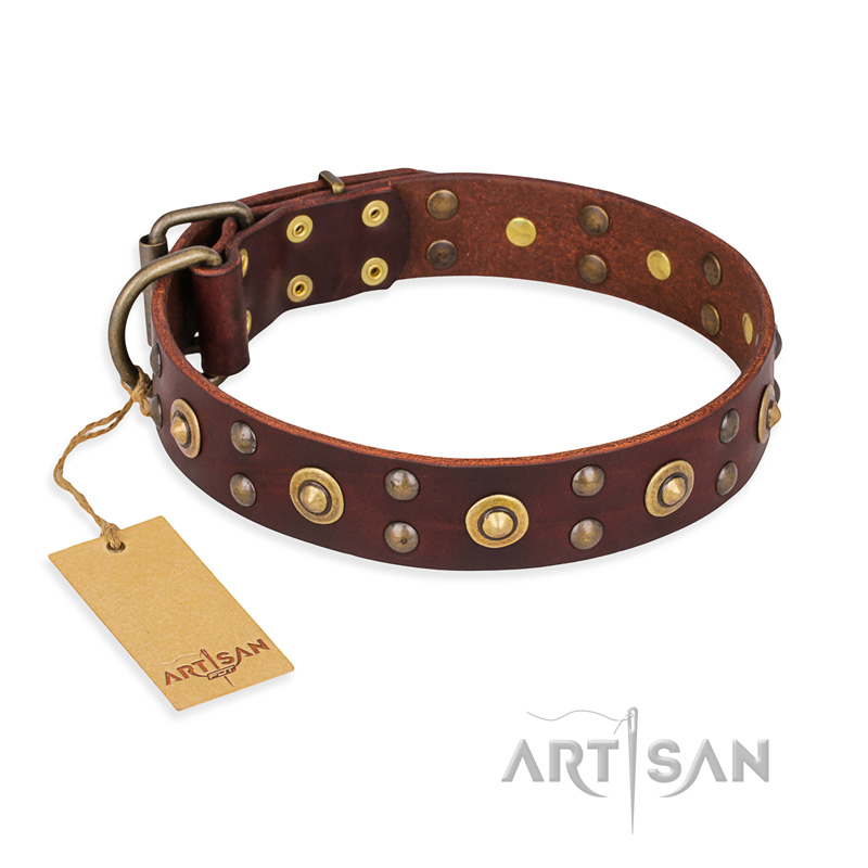 'Caprice of Fashion' FDT Artisan Rottweiler Brown Leather Dog Collar with Round Decorations