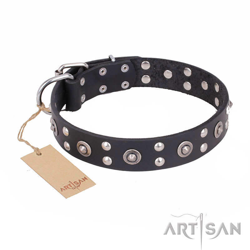 'Refined Essence' FDT Artisan Black Leather Rottweiler Dog Collar with Silvery Studs - 1 1/2 inch (40 mm) Wide