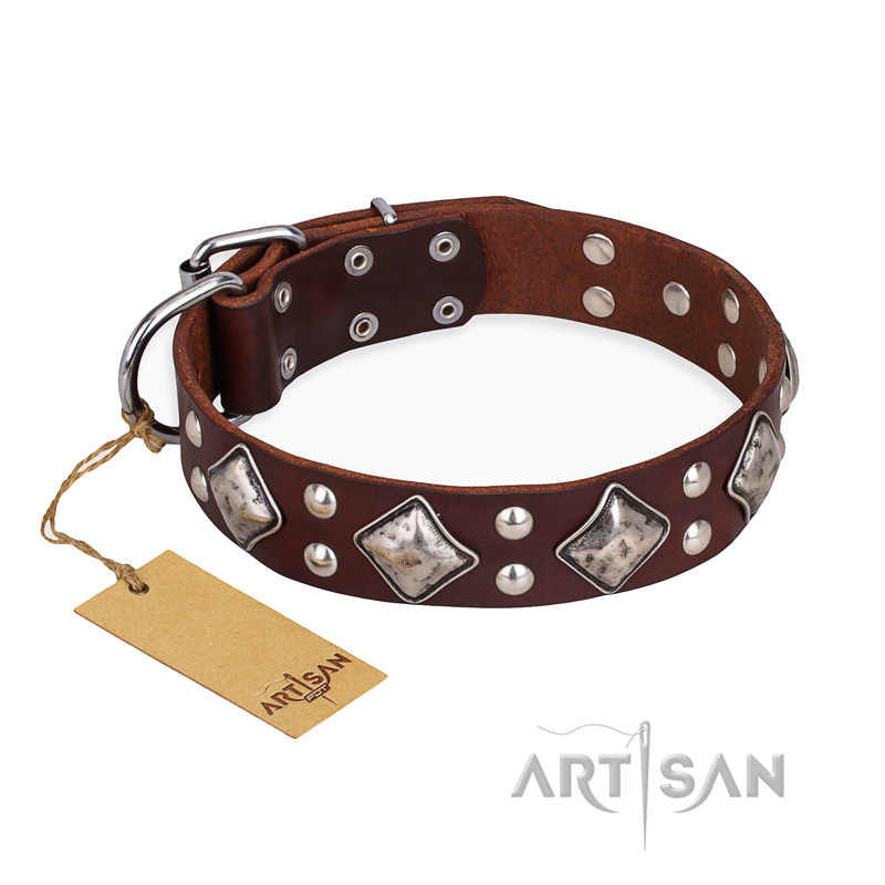 "King of Grace" FDT Artisan Brown Leather Rottweiler Collar for Walking in Style