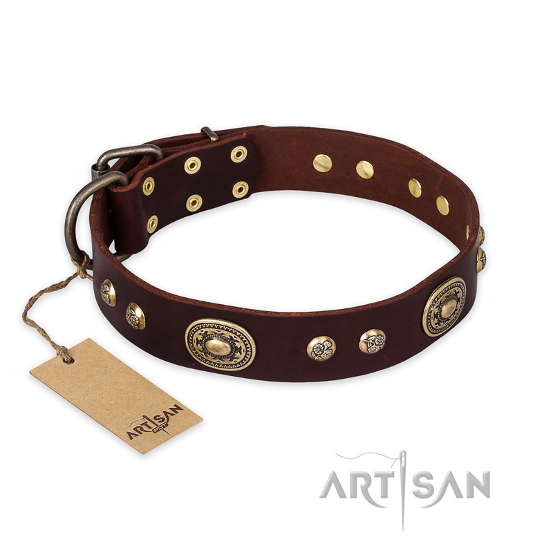 'Breath of Elegance' FDT Artisan Decorated with Plates Brown Leather Rottweiler Collar