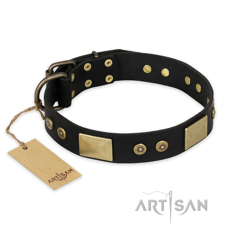 "Spanish night" FDT Artisan Black Leather Rottweiler Collar for Walking in Style - 1 1/2 inch (40mm) wide