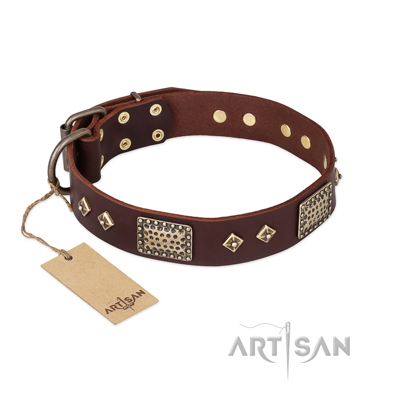 FDT Artisan 'Loving Owner' Decorated Leather Rottweiler Dog Collar with Plates and Studs 1 1/2 inch (40 mm)