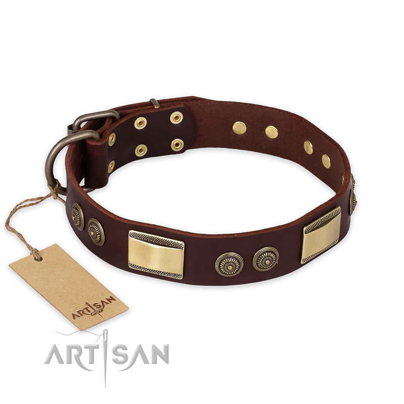 "Golden Stones" FDT Artisan Brown Leather Rottweiler Collar with Chic Decorations - 1 1/2 inch (40 mm) wide