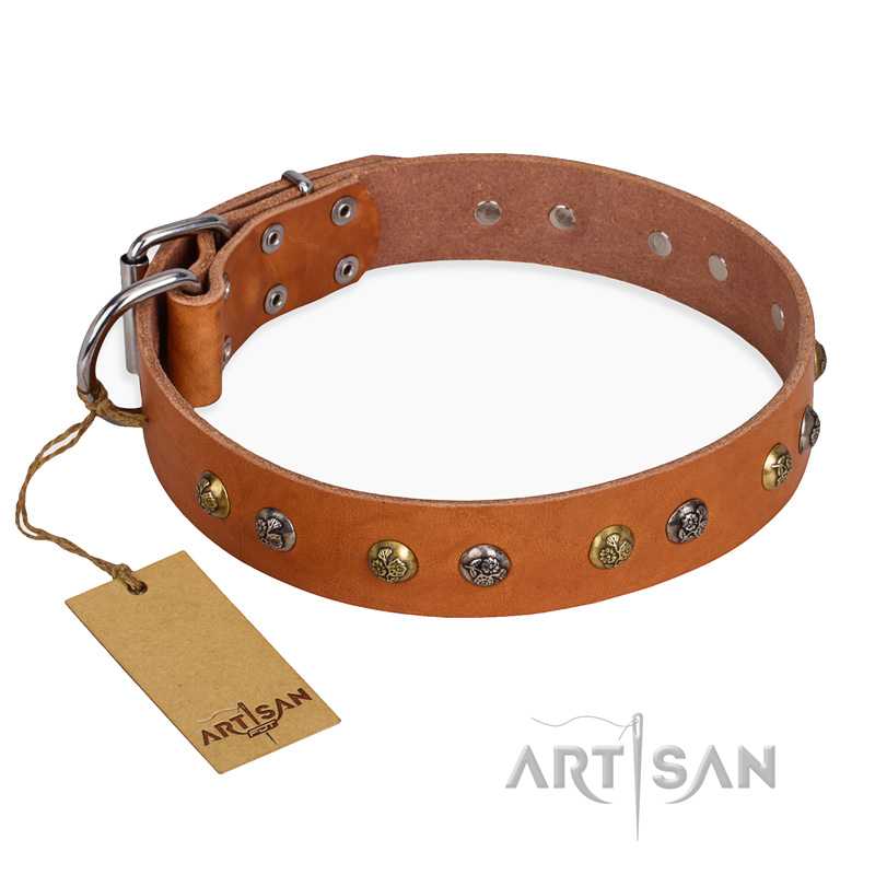 'Golden'n'Silver Luxury' FDT Artisan Leather Rottweiler Collar with Engraved Studs