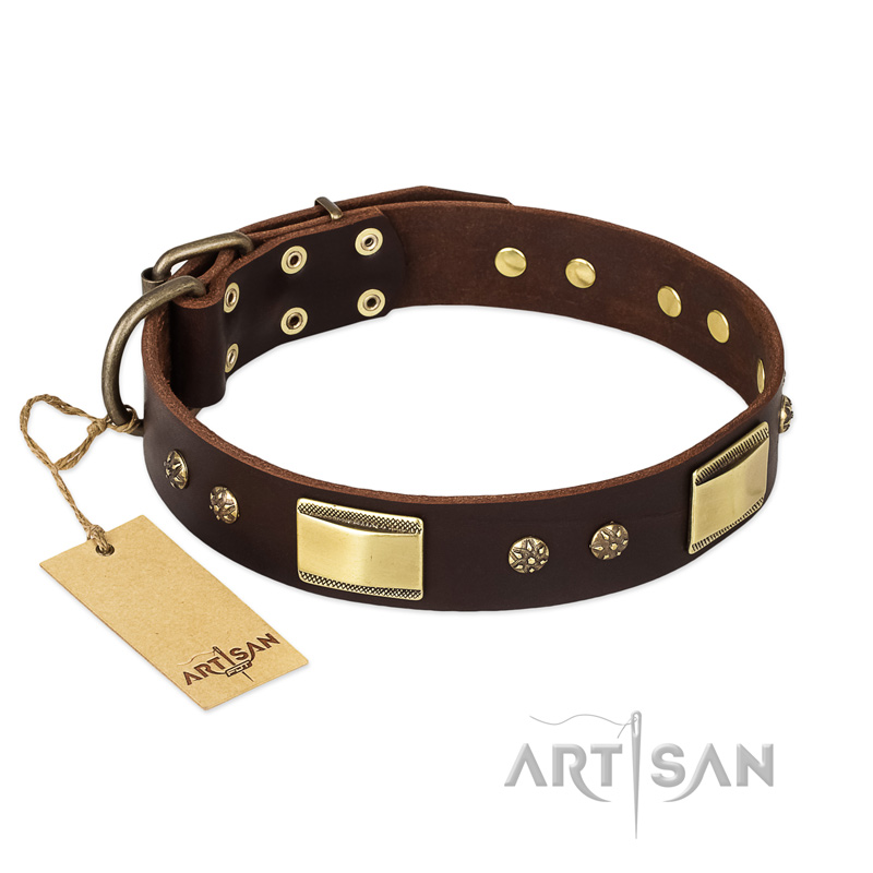 FDT Artisan 'Rich Fashion' Decorated Leather Rottweiler Collar with Plates and Studs - 1 1/2 inch (40 mm) wide