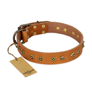 'Autumn Story' FDT Artisan Tan Leather Rottweiler Collar with Old Bronze Look Studs - 1 1/2 inch (40 mm) wide