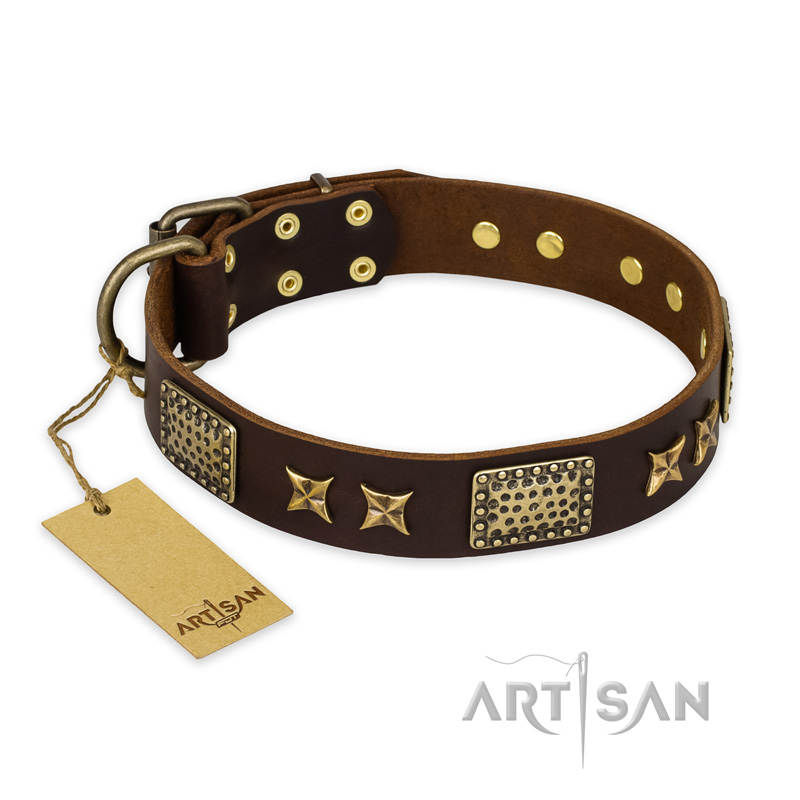 "Sparkling Bronze" FDT Artisan Brown Leather Rottweiler Collar with Stars and Plates