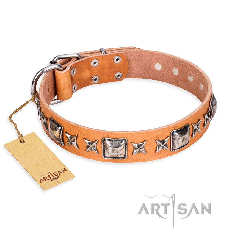 'Silver Chic' FDT Artisan Tan Leather Rottweiler Collar with Silvery-plated Decorations