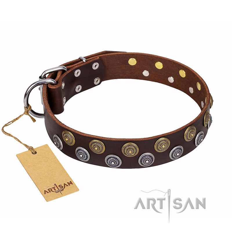 'Strong Shields' FDT Artisan Leather Rottweiler Collar with Bronze and Chrome Plated Studs