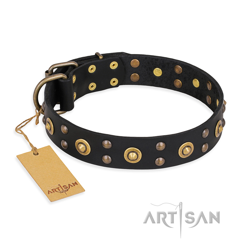 'Cosmic Glow' FDT Artisan Black Leather Rottweiler Collar with Brass-Plated Studs - 1 1/2 inch (40 mm) wide