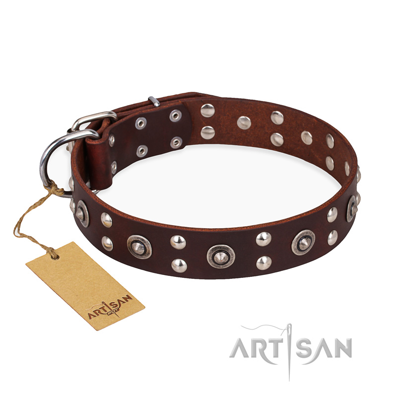 'Pirate Treasure' FDT Artisan Exciting Brown Leather Rottweiler Dog Collar with Studs