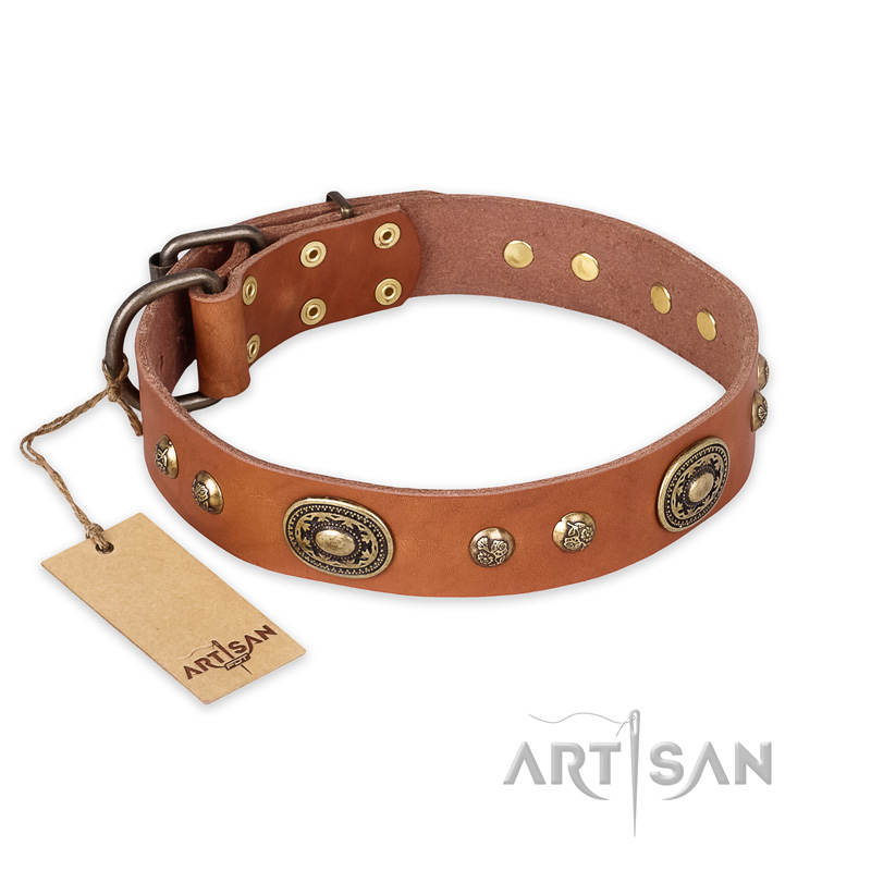 'Stunning Dress' Handmade FDT Artisan Tan Leather Rottweiler Collar - 1 1/2 inch (40 mm) wide