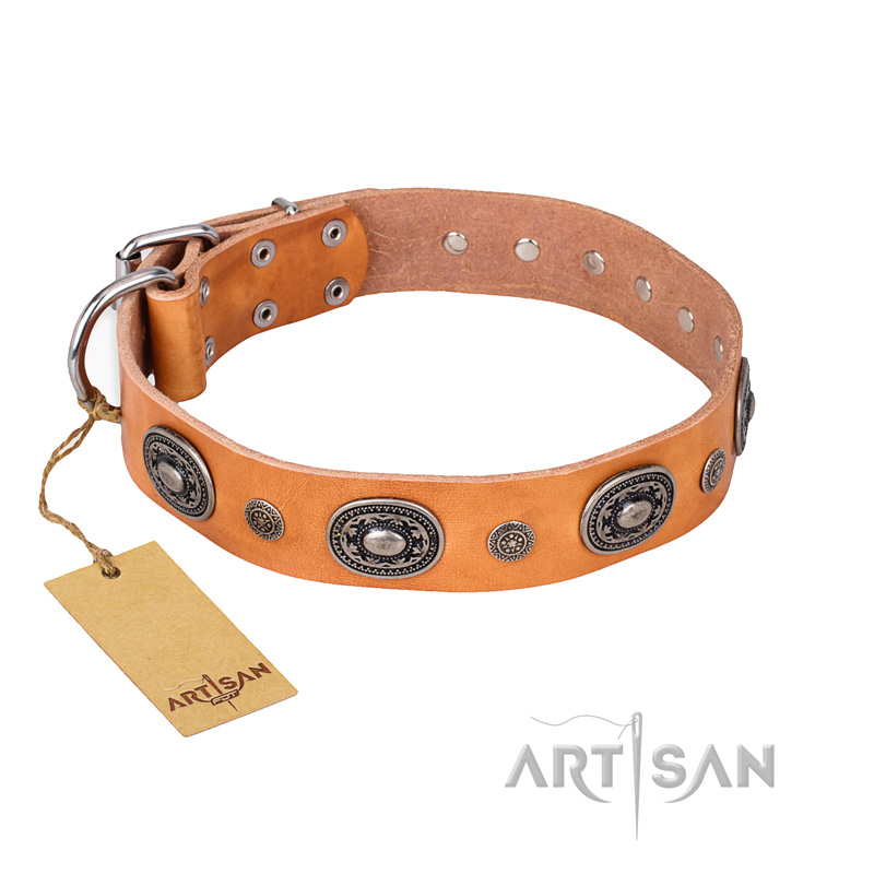 'Twinkle Twinkle' FDT Artisan Incredible Studded Tan Leather Rottweiler Collar with Silver-Like Circles - Click Image to Close