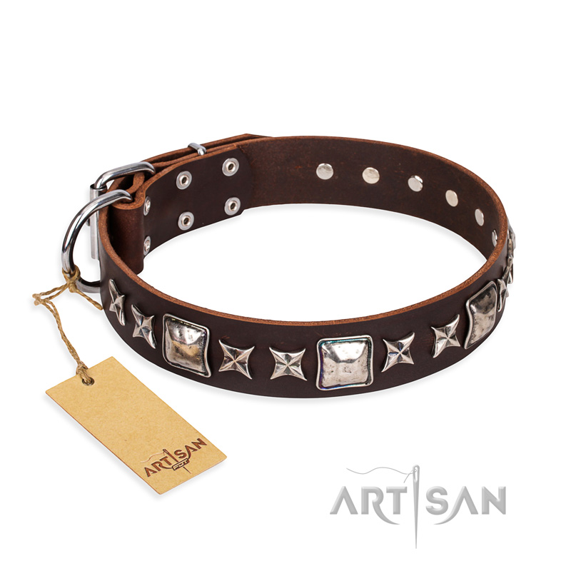 'Perfect Impression' FDT Artisan Brown Leather Rottweiler Collar with Silvery Square Studs - 1 1/2 inch (40 mm) Wide