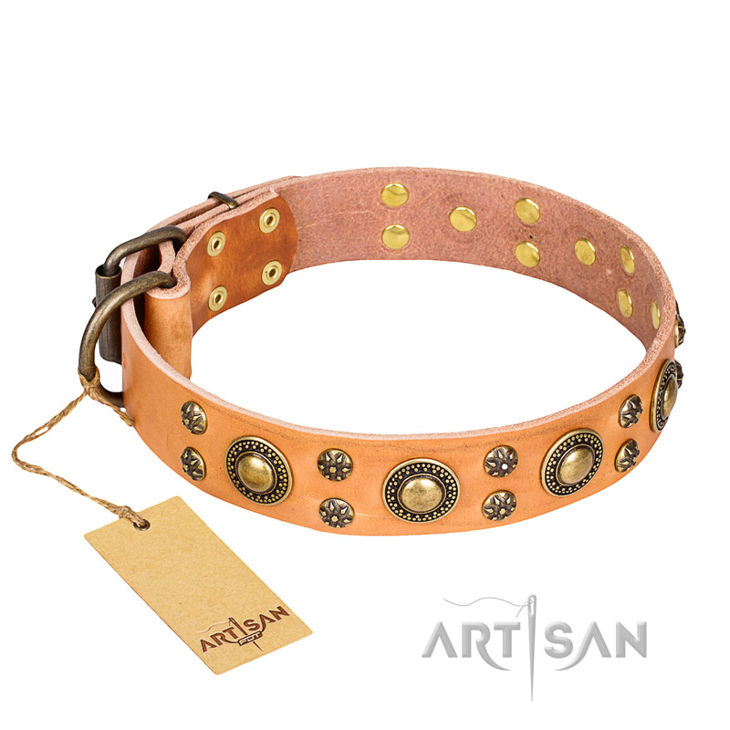 'Sophisticated Glamor' FDT Artisan Rottweiler Leather Collar with Old-bronze Plated Decorations