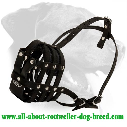 Well-Breathable Basket Leather Dog Muzzle for Rottweiler Breed
