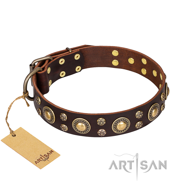 'Flower Melody' FDT Artisan Brown Leather Rottweiler Collar with Studs