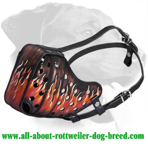 Adjustable Agitation/Attack Training Leather Muzzle for Rottweiler